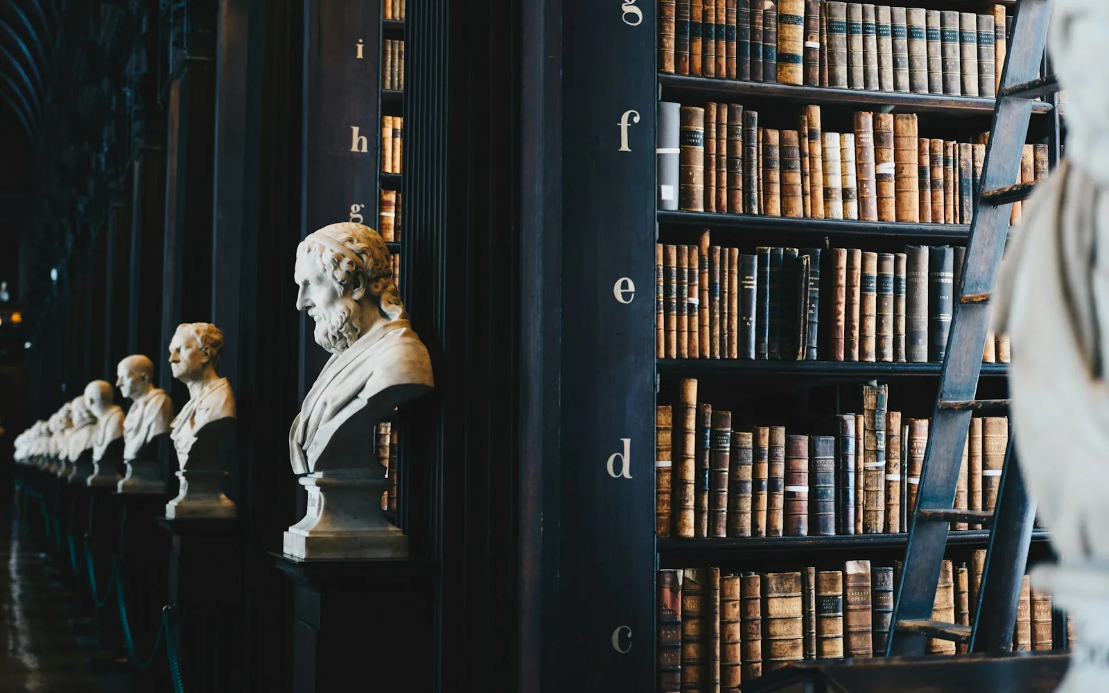 Long library hall lined with leather-bound books and marble busts